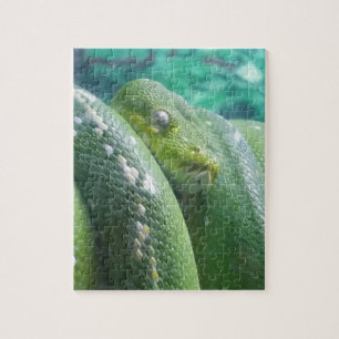 Cobra quebra-cabeça