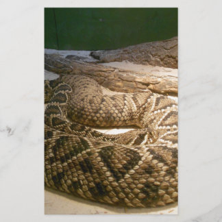 Cobra Rattle
