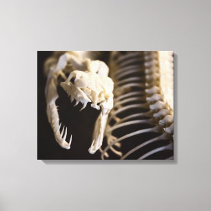 Cobra skeleton art - canvas