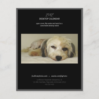 cobrir de calendário para 2012