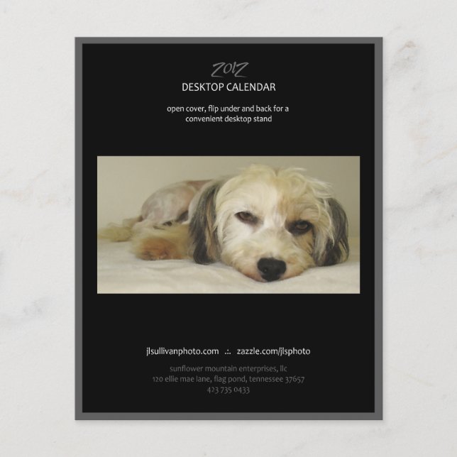 cobrir de calendário para 2012 (Frente)