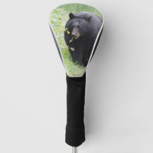 cobrir de golfe com urso preto