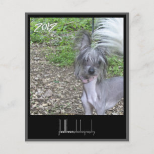 cobrir frontal do calendário 2012