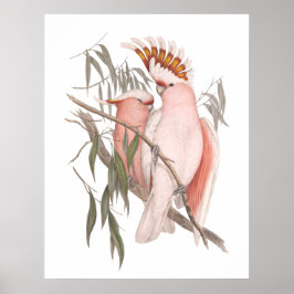 Coca-cola rosa-branca praias vintage poster