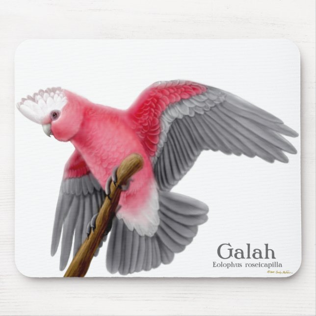Cockatoo Mousepad de Galah (Frente)