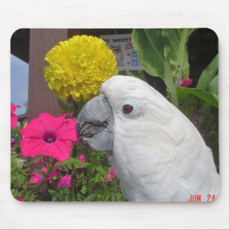 Cockatoo Mousepad do guarda-chuva