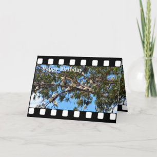 Cockatoos brancos australianos, Cartão de aniversá