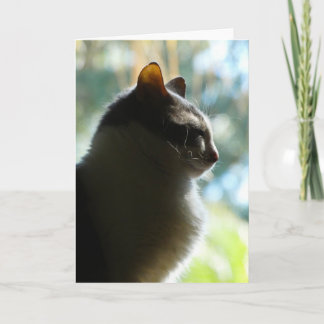 "Coco na janela."  Cartão de Saudação