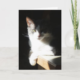 "Coco na Luz I." Cartão de Saudação