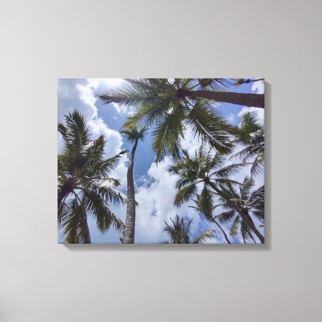 COCO PALMS nº 2 NA CANVAS 20 "x 16" (Frente)