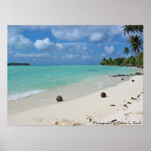 Cocos no poster da praia