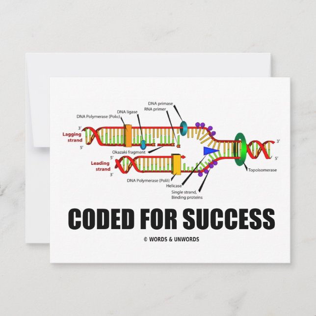 Codificado para sucesso (replicação de DNA) (Frente)