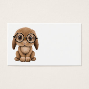 Coelho bonito do bebê de Brown que veste vidros