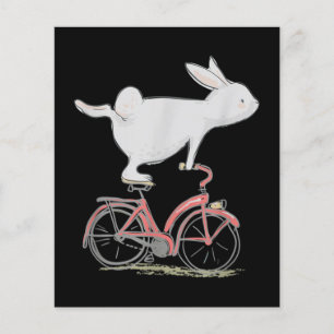 Coelho Bonito Na Bicicleta De Ciclo De Bicicleta