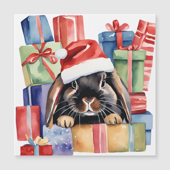 Coelho Coelho do Salto de Natal (Frente)