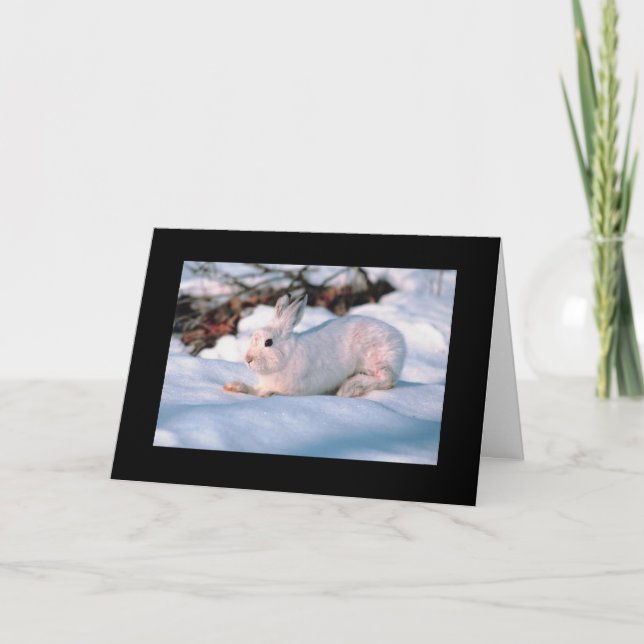 Coelho do branco do cartão do feriado de (Frente)