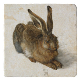 Coelho, Lebre por Durer Vintage Nature Art de 1502