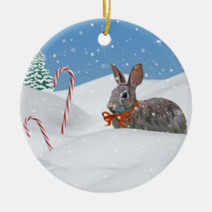 Coelho nos enfeites de natal da neve
