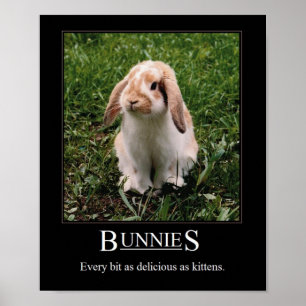 Coelhos deliciosos! Poster