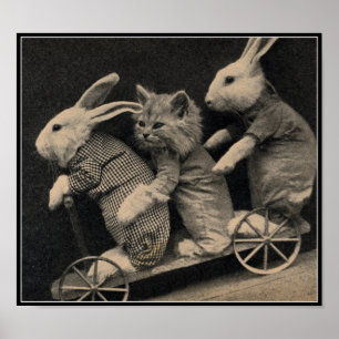 Coelhos do Sepia do vintage & impressão da arte d