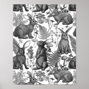 Coelhos e flora florestal2 Poster
