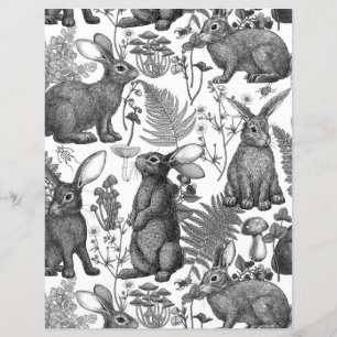 Coelhos e flora florestal 2