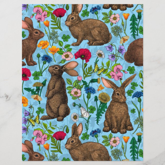 Coelhos e flores silvestres (Frente)