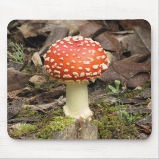 Cogumelo Mousepad do amanita