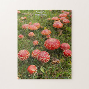Cogumelos Amanita muscaria - Quebra-cabeça
