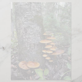 Cogumelos - Folha de papelaria de 8,5" x 11"