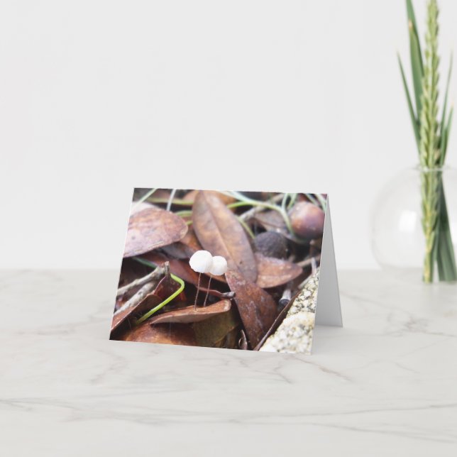 Cogumelos Pequenos no Cartão de Saudação Dobrado (Frente)