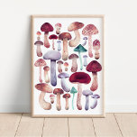 Cogumelos selvagens ilustram poster<br><div class="desc">Colorida e elegante ilustração de cogumelo pintada a mão</div>
