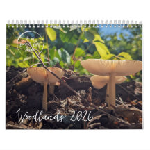 Cogumelos Woodland - Calendário Natureza 2026