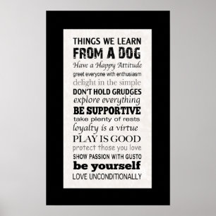 Coisas que nós aprendemos de um poster do cão