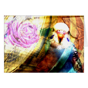 Colagem cor-de-rosa do Parakeet - cartão