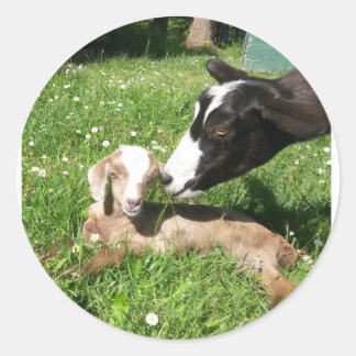 Colagem de adesivos de Cabra 6