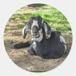 Colagem de adesivos de Cabra 6