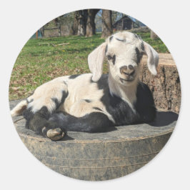 Colagem de adesivos de Cabra 6