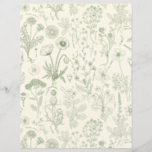 Colagem de flores silvestres/creme e sage