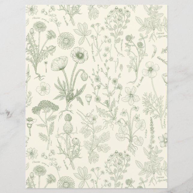Colagem de flores silvestres/creme e sage (Frente)