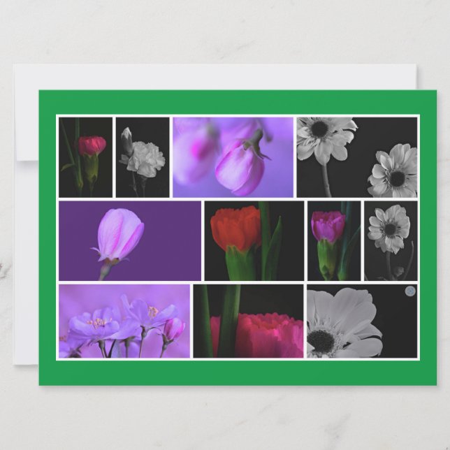 Colagem de Fotos de Flores Elegantes e Bonitas em  (Frente)