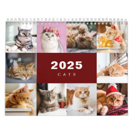 Colagem de Fotos de Gatos Calendário Moderno 2025