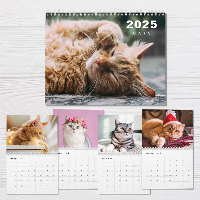 Colagem de Fotos de Gatos Calendário Moderno 2025 (Criador carregado)