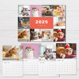 Colagem de Fotos de Gatos Calendário Moderno 2025