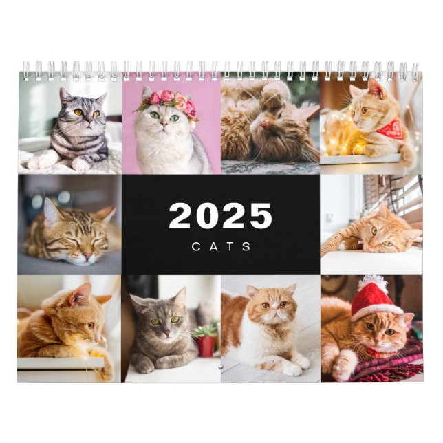 Colagem de Fotos de Gatos Calendário Moderno 2025 (Capa)