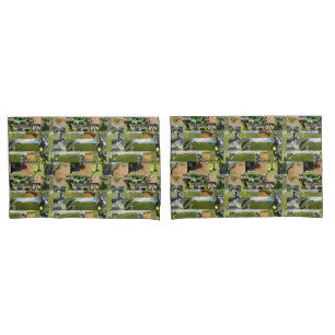 Colagem De Fotos De Golfe,