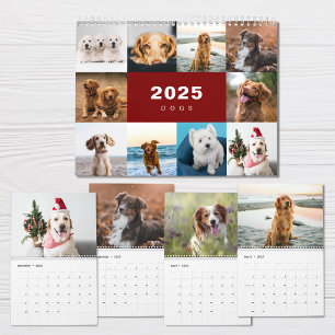 Colagem de Fotos em Cães Calendário Moderno 2025