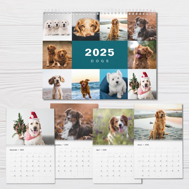 Colagem de Fotos em Cães Calendário Moderno 2025 (Criador carregado)
