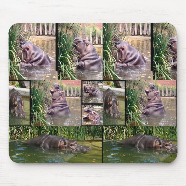 Colagem de Fotos Hippo, Mousepad (Frente)