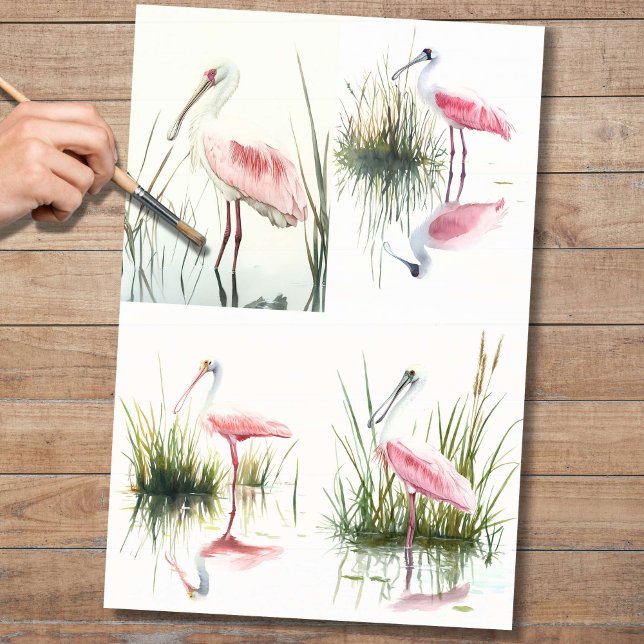 Colagem de Spoonbill 2 Papel de Decoupage (Criador carregado)
